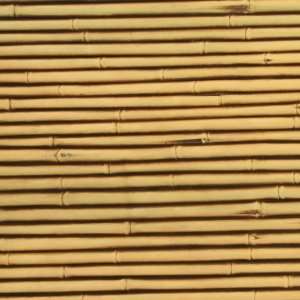   Plus Indoor/Outdoor Siding Panel, Bamboo, Weathered   Sample Home