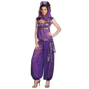  Arabian NIGHTS Costume Belly Dancy FANCY DRESS Womens Adult Purple