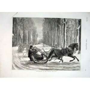    Sleighing At Hague Holland Antique Print 1876
