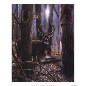  Woodland Sentry   Poster by Kevin Daniel (9x11)