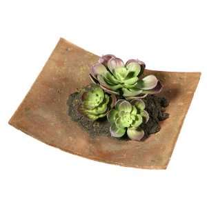 Baby Echeveria Artificial Roof Garden Plant 