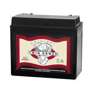  Twin Power High Performance Sealed Battery   12VX30L 