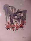 large signed print by Richard Sloan 22 x 28 inches Mockingbird