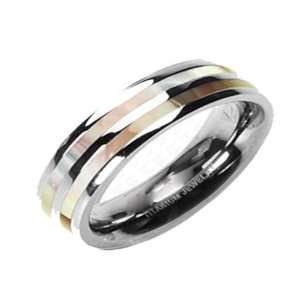  Solid Titanium with Mother of Pearl Inlay Dual Stripe Band 