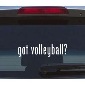   volleyball? Vinyl Sticker Decal Got Milk Window Fun: Everything Else