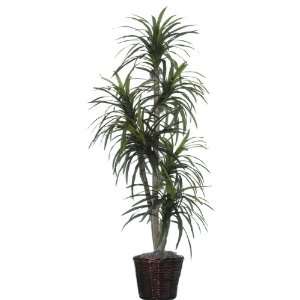  Potted Artificial Tropical Marginata Tree in Brown Pot: Home & Kitchen