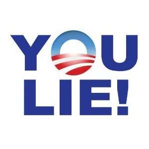  You Lie! Joe Wilson anti obama bumper sticker magnet 