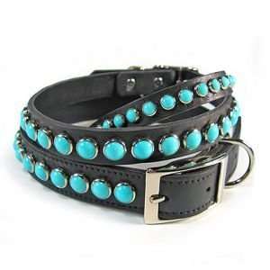  Turquoise on Black Leather Dog Collar 22 : Pet Supplies
