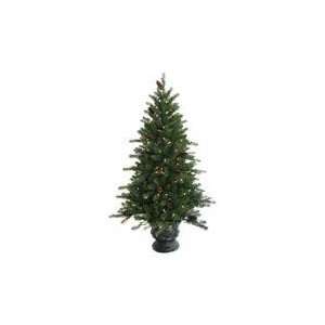   Tree CPEL 817 60W1 6 Eldorado Fir Pre Lit Tree: Home Improvement