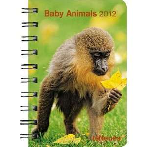    Baby Animals 2012 Small Engagement Calendar