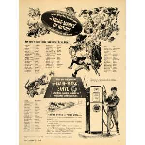  1949 Ad Ethyl Gas NCAA College Football Teams Names 