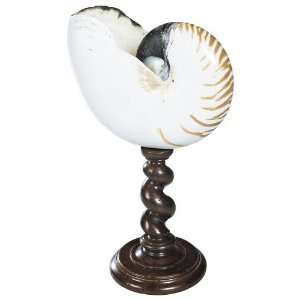  Natural on Wood Stand Nautilus Shell