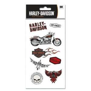  Harley Davidson Motorcycle Eagles and Skulls Scrapbook 