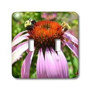   Coneflower with Bees   Light Switch Covers   double toggle switch