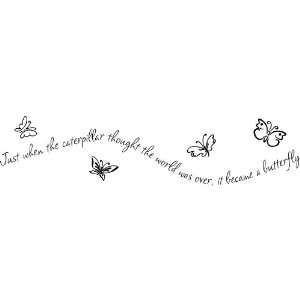   the Caterpillar Thought.. Wall Decal Sticker Quote: Home & Kitchen