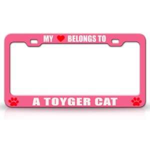  MY HEART BELONGS TO A TOYGER Cat Pet Auto License Plate 