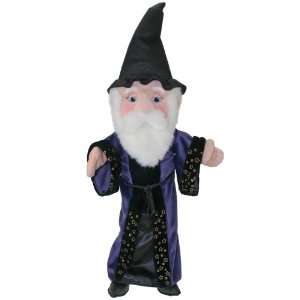  Wizard Hand Puppet   Time for Story Puppet Toys & Games
