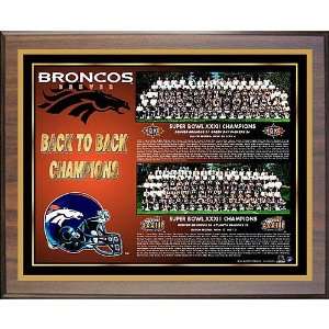 Healy Denver Broncos Back To Back Super Bowl Champions Team Picture 