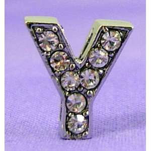   10mm Slide Charm for Personalized Bling Dog Collar: Pet Supplies
