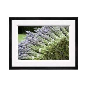  Lavender Bunches Ii Framed Giclee Print