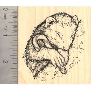  Ferret with Candy Cane (Carmel Corn) Rubber Stamp: Arts 