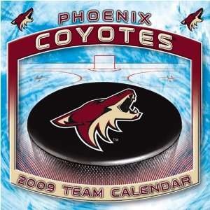Phoenix Coyotes NHL Box Calendar 
