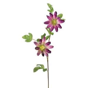  25 Passion Flower Spray Purple (Pack of 12): Home 