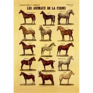    Les Animaux De La Ferme (Horses) Poster Print