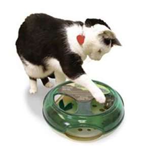 Our Pet`s Company Play N Squeak Thrill Of The Chase Cat Toy  
