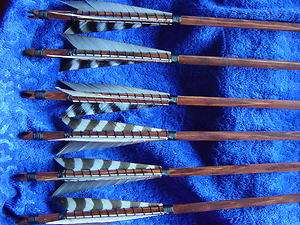 Traditional archery arrows sca medieval wood armor EVO3  