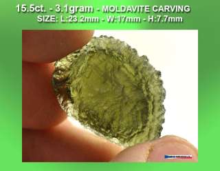 MOLDAVITE HAND CARVED CARVING TRILOBITE  15.5cts  