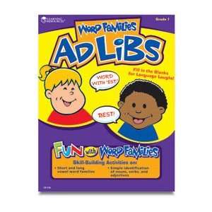  Ad Libs Word Families Activity Book Books