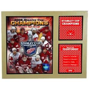  Detroit Red Wings World Champion Photograph with Statistics 