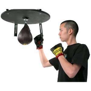 NEW Everlast 6pc Platform Boxing Speed Punching Bag Set  