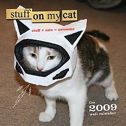 Stuff on My Cat 2009 Calendar  