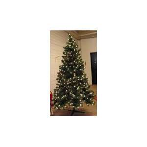    6.5 Pre Lit Virginia Spruce Christmas Tree: Everything Else