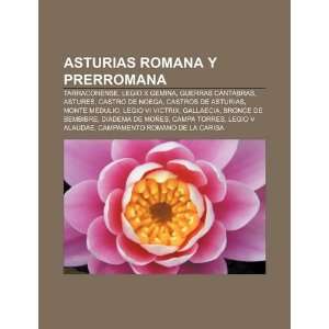   Castros de Asturias, Monte Medulio (Spanish Edition) (9781231355152
