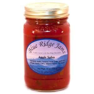 Blue Ridge Jams Apple Salsa, Set of 3 Grocery & Gourmet Food