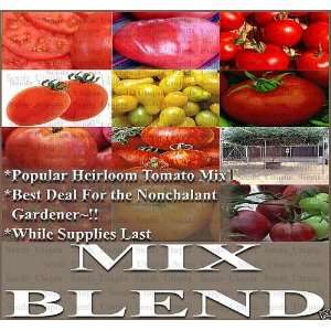 100 MIX BLEND ~VARIOUS VARIETIES Tomato seeds ALL HEIRLOOMS ~ OUR MOST 