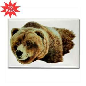  Rectangle Magnet (10 Pack) Bear   Male Grizzly Bear 