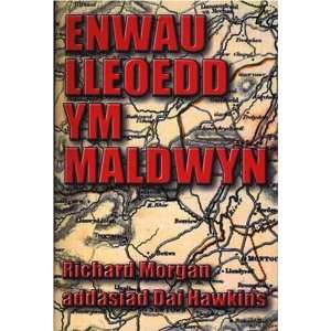   Lleoedd Ym Maldwyn (9780863818417) Richard Morgan, Dai Hawkins Books