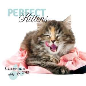   Perfect Kittens by Myrna 2012 Wall Calendar 12 X 12