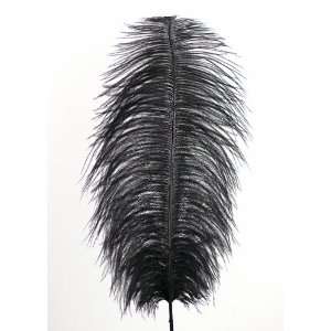  18 20in Black Ostrich Feather. 6 Feather in a Pack: Arts 