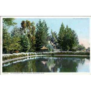  Reprint Redlands CA   The Reservoir, Smiley Heights 1900 