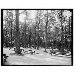  Picnic grounds,Long Branch Park,Syracuse,N.Y.