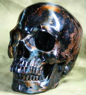 Huge 5.1 Tigers Eye Skull Carved Crystal Skull, Gem  