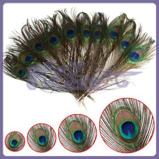 Tail Feathers Fan Make 10 pcs Feather PEACOCK TAILS 9 13  