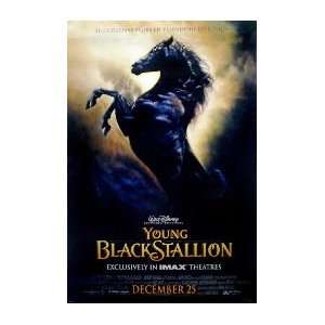 YOUNG BLACK STALLION Movie Poster 