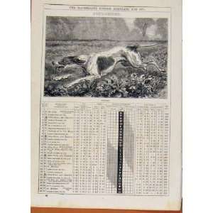  London Almanack Pointer September 1871 Dog Hound