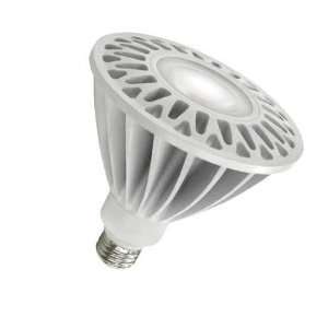  17 Watt Dimmable LED PAR38 Flood Bulb